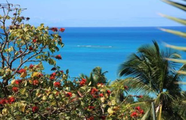 2-bedroom Apartment With Seaviews - Foto 18