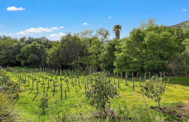 Grapevine by Avantstay Secluded 5BR Villa 4 Acres of Vineyards & Avo Groves! - Photo 73