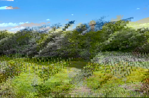 Photo 72 - Grapevine by Avantstay Secluded 5BR Villa 4 Acres of Vineyards & Avo Groves