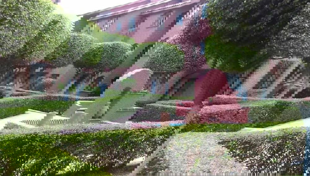 Primary image