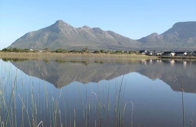 Stunning Cape Peninsula Holiday Villa With Pool - Foto 12