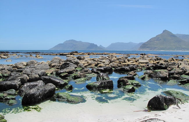 Stunning Cape Peninsula Holiday Villa With Pool - Foto 25