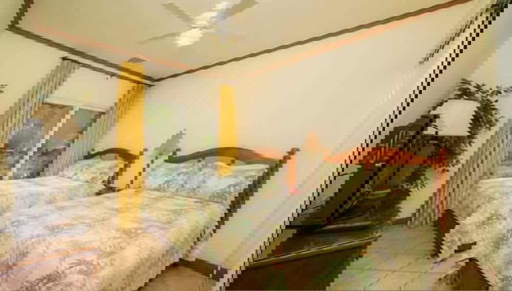 Imagem principal