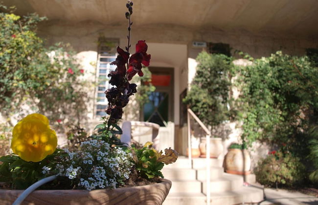 4 Yonatan - Emek Refaim - Jerusalem-Rent - Foto 14