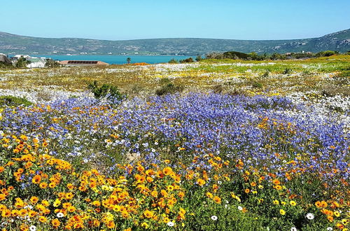 Photo 18 - Kian's Place, Langebaan 8-sleeper