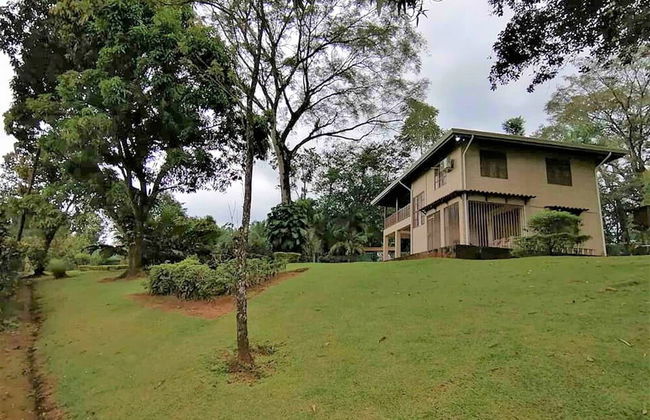 Casa Naranjito - Foto 37