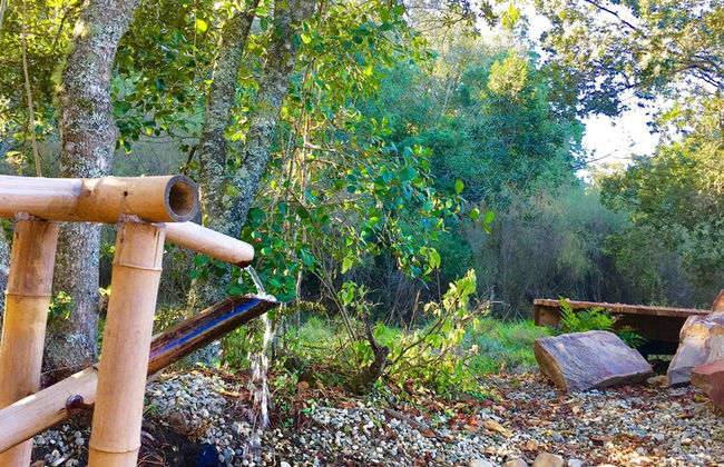 Forest Edge - Foto 55