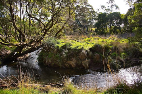 Photo 17 - Green Gully House