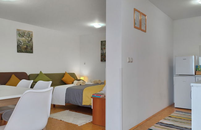 Apartments Vinska Trta - Foto 16