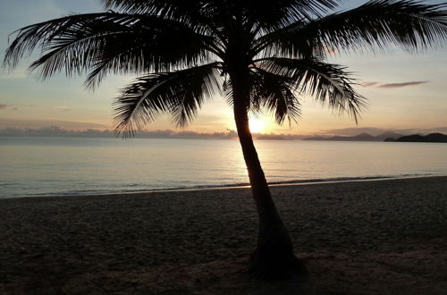 Photo 18 - Palm Cove Tropic Apartments