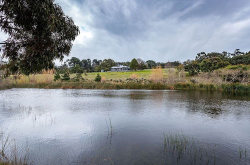 Photo 3 - Green Olive at Red Hill