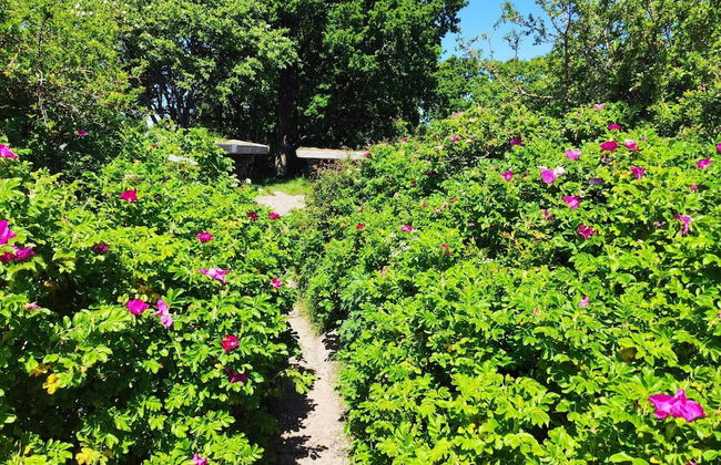 Seaside Haven With Spa - By Traum Ferienwohnungen - Photo 25