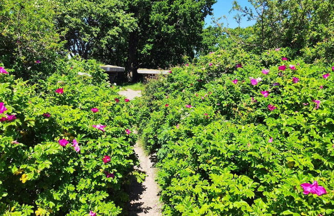 Seaside Haven With Spa - By Traum Ferienwohnungen - Photo 26