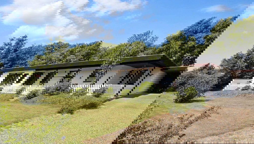 Imagem principal