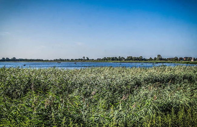 6 Person Holiday Home in Hojer - Foto 25