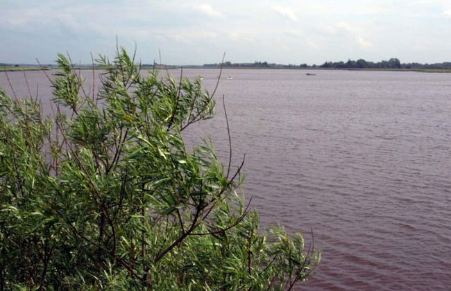 6 Person Holiday Home in Hojer - Foto 24