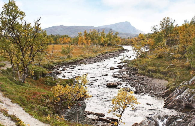 6 Person Holiday Home in Rennebu-by Traum - Photo 30