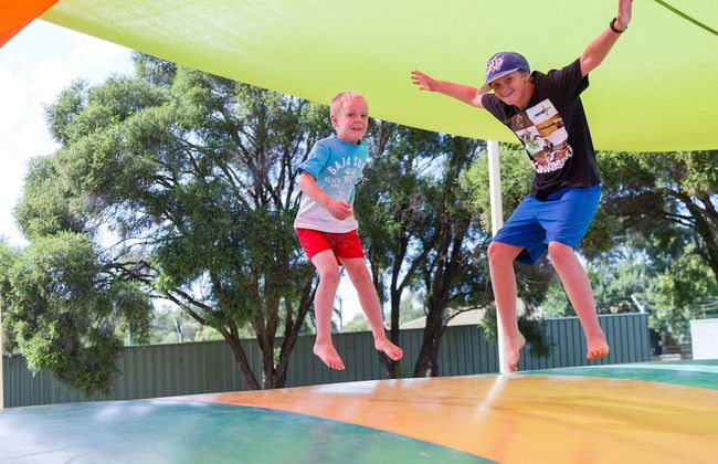 NRMA Dubbo Holiday Park - Foto 48