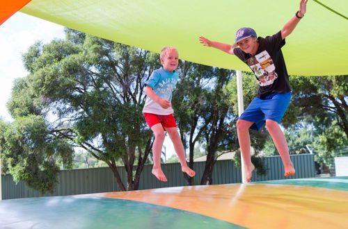 Photo 48 - NRMA Dubbo Holiday Park