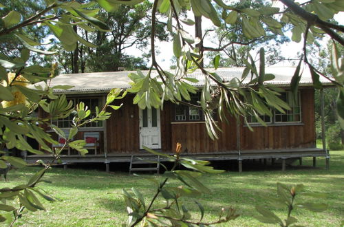 Photo 29 - Lovedale Cottages