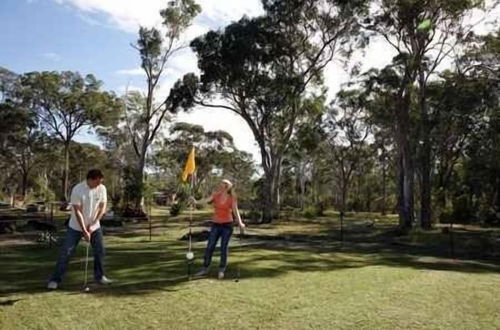 Photo 18 - Lovedale Cottages