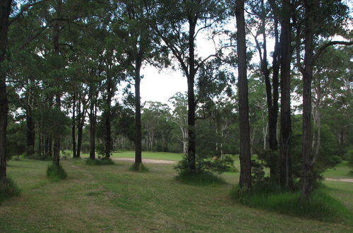 Photo 27 - Lovedale Cottages