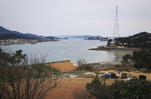 Photo 59 - Tongyeong MongDol House