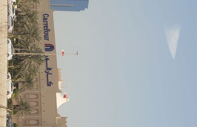 Palmera604 - Foto 25