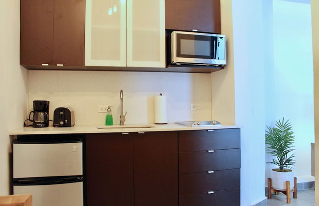 Modern Living in Old San Juan - Foto 22