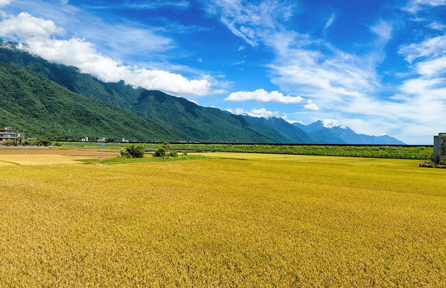 Melody B&B - Photo 31