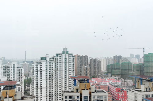 Photo 41 - GoNative Downtown Apartment Yu Garden