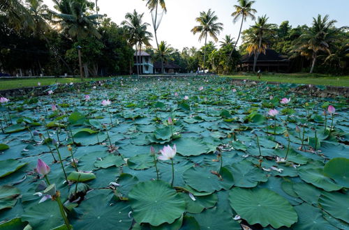 Photo 16 - amã Stays & Trails Pathiramanal Villa, Alappuzha