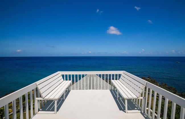 Yellow Bird - Photo 23