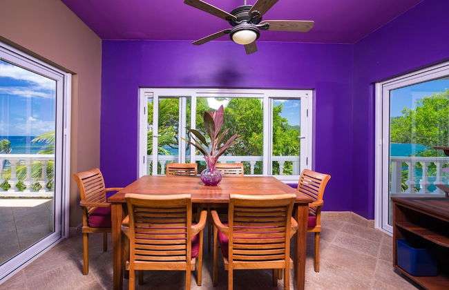 Yellow Bird - Photo 17