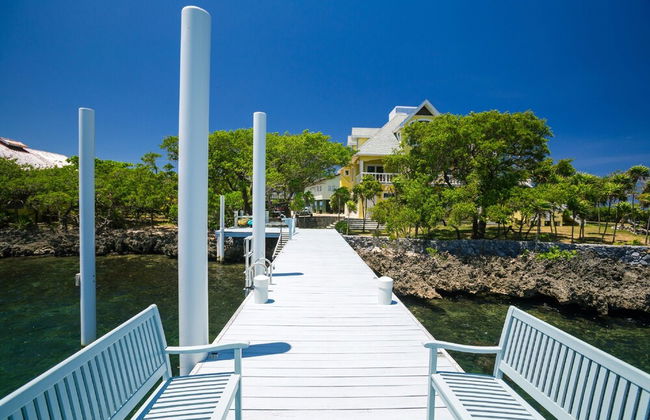 Yellow Bird - Photo 22