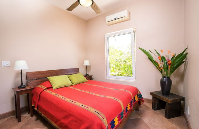 Yellow Bird - Photo 6