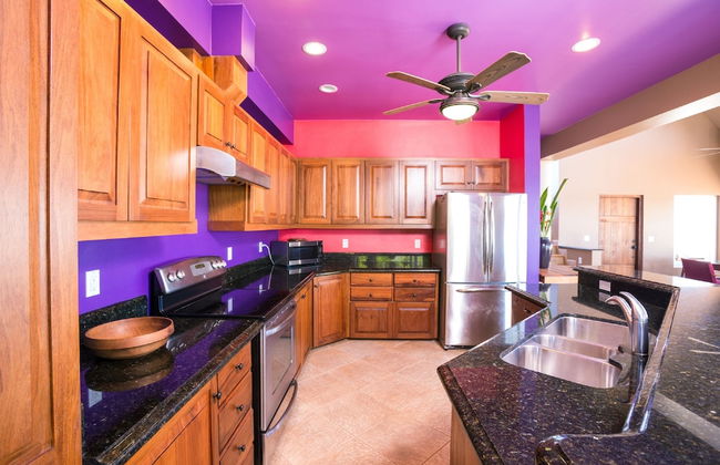 Yellow Bird - Photo 7