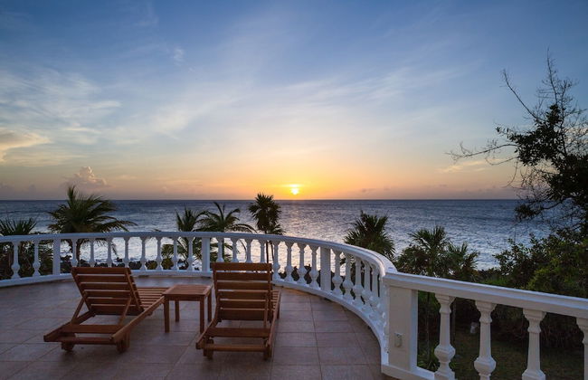 Yellow Bird - Photo 24