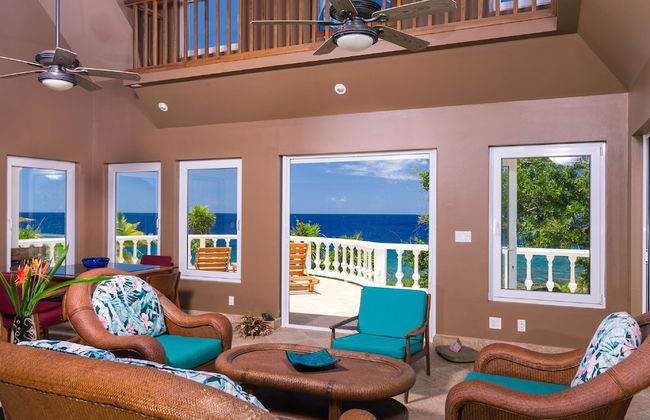 Yellow Bird - Photo 9