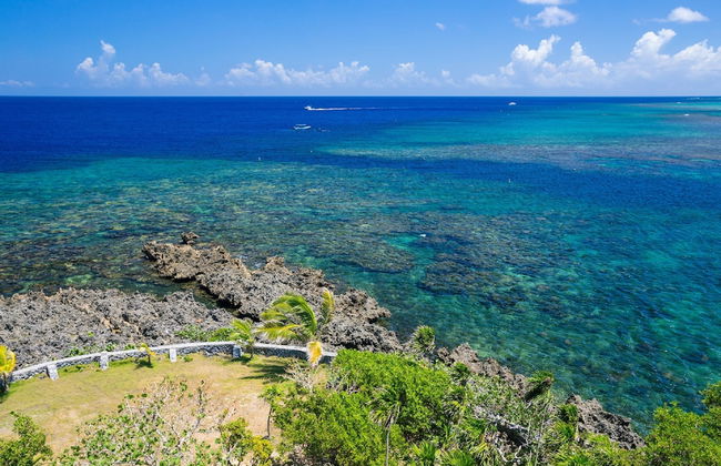 Yellow Bird - Photo 15