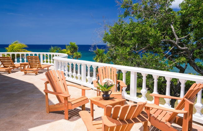 Yellow Bird - Photo 20