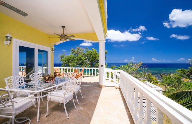 Yellow Bird - Photo 11