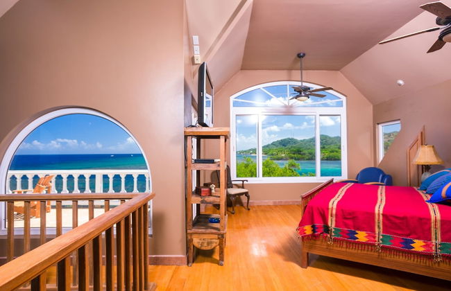 Yellow Bird - Photo 2