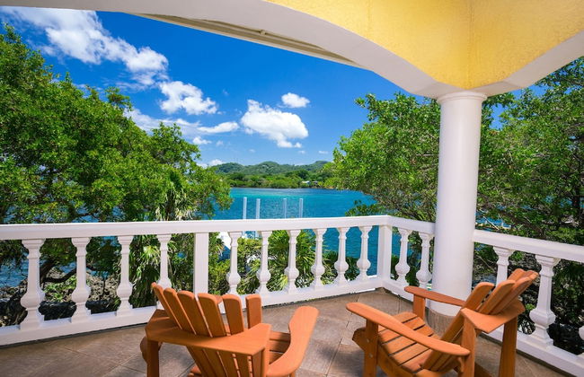 Yellow Bird - Photo 13