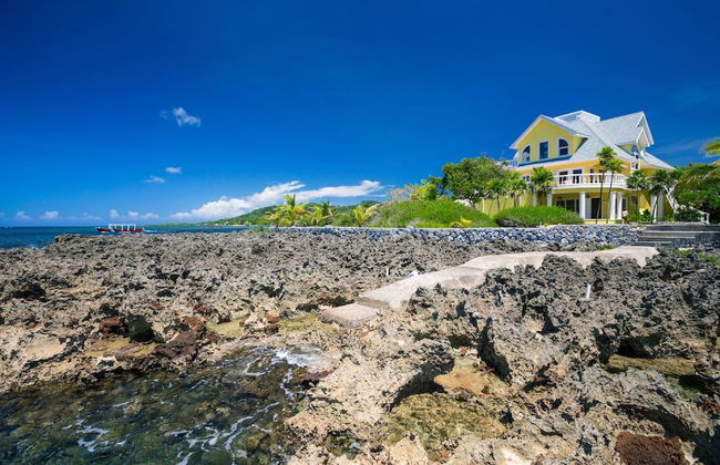 Yellow Bird - Photo 19