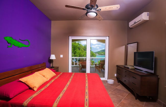 Yellow Bird - Photo 4