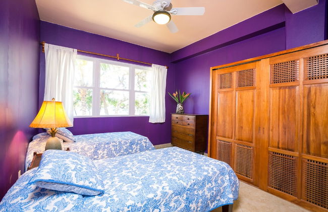 Yellow Bird - Photo 5