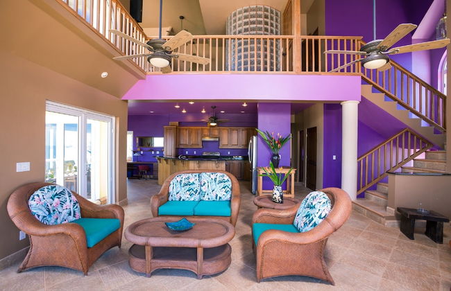 Yellow Bird - Photo 10