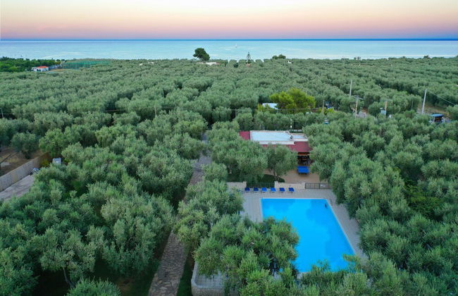 "melograno" Holiday Home Featured With Swimming Pool and Private Beach - Photo 66