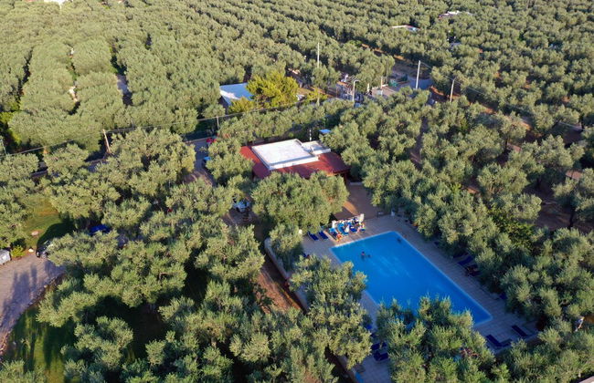 "melograno" Holiday Home Featured With Swimming Pool and Private Beach - Photo 5